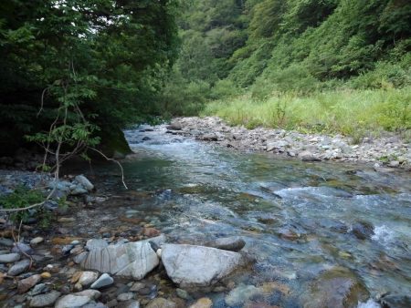 大イワナ登場！